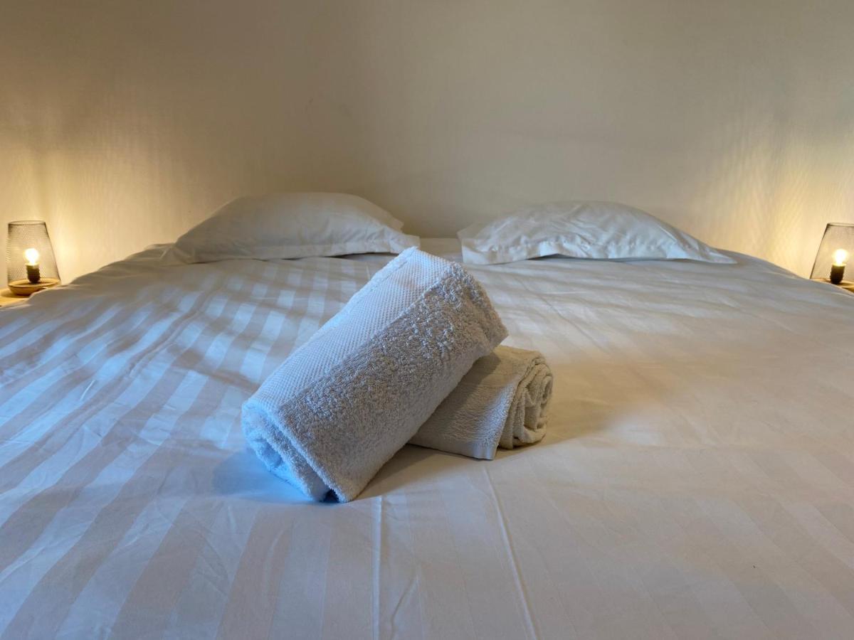 Les Cosy De Nancy - Urban Jungle - 4 Etoiles Apartment Bagian luar foto